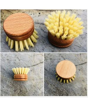 Wooden Dish Brush Replacement Head