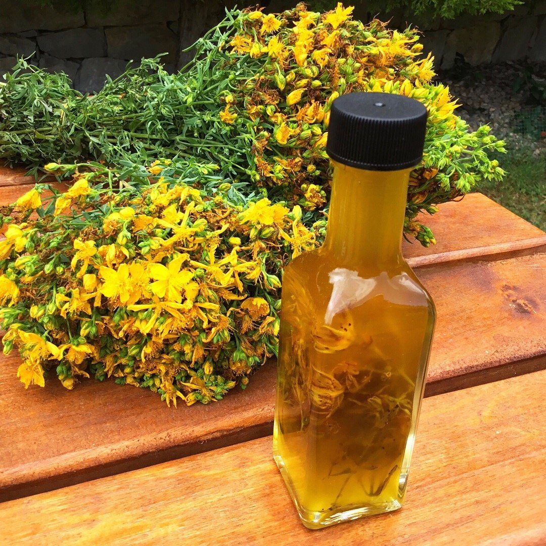 Organic St John's Wort Oil, Infused oil with olive oil 